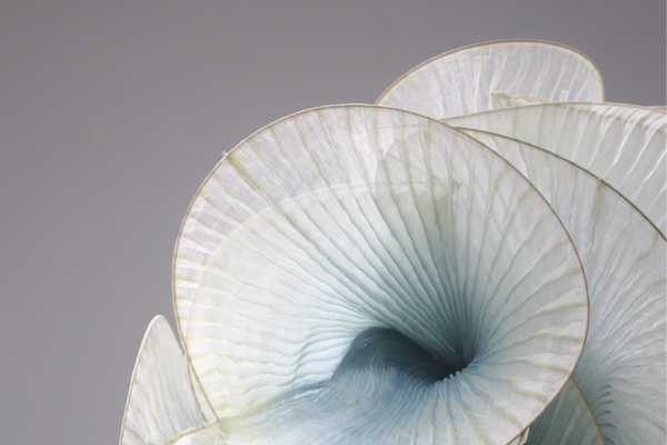 12_1a7e5977-9001-44b2-983e-