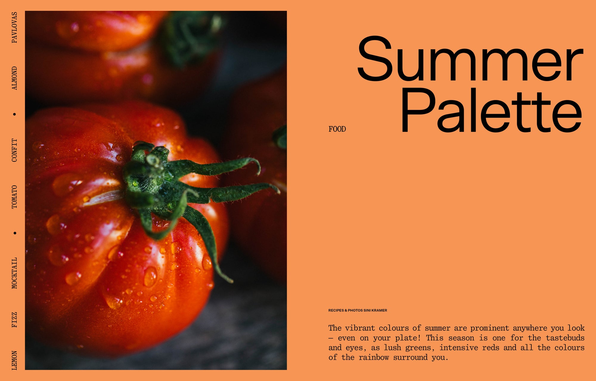 Laine Magazine Vol. 17