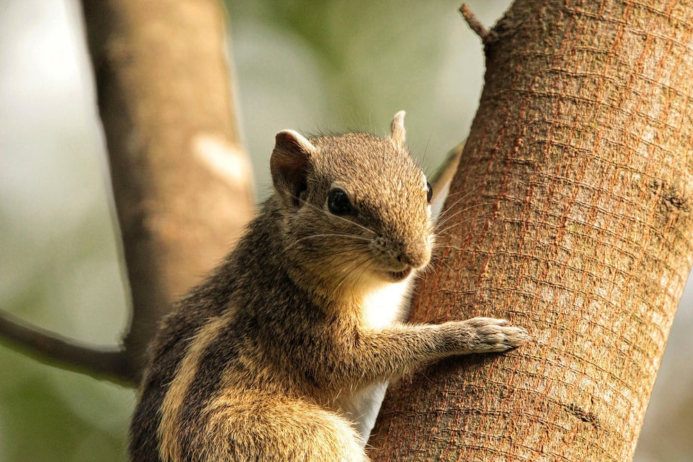 2025年 年末年始の営業のご案内