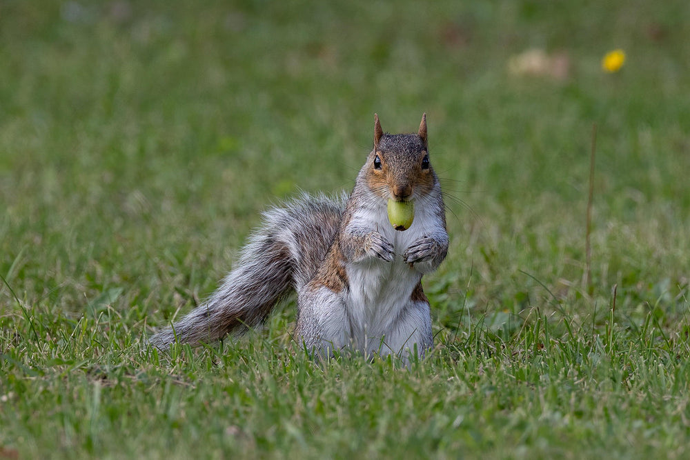 領収書・お荷物の追跡番号の確認方法が <br> 新しくなりました！