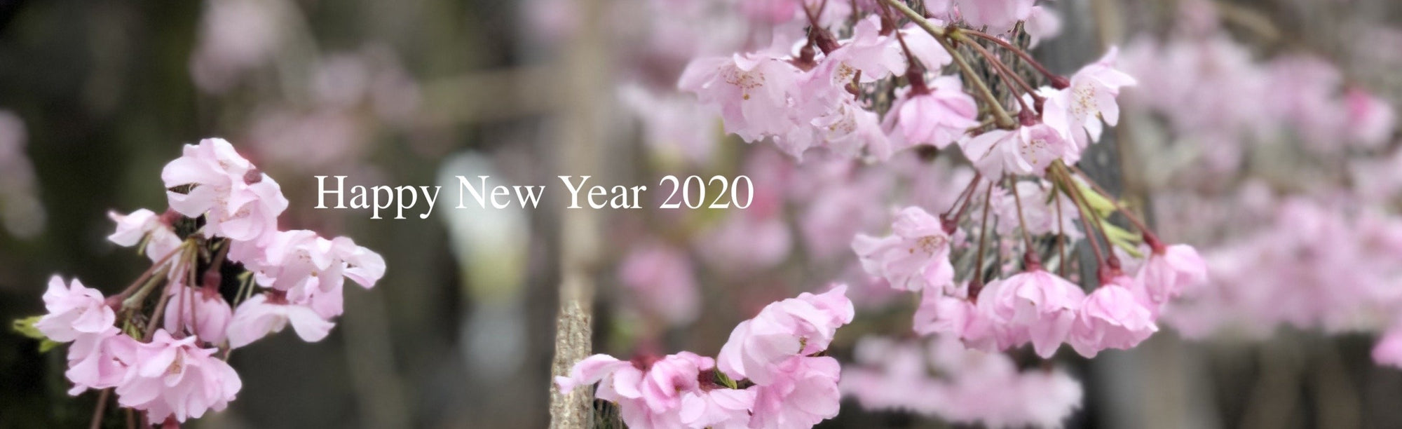 Theme: Happy New Year 2020