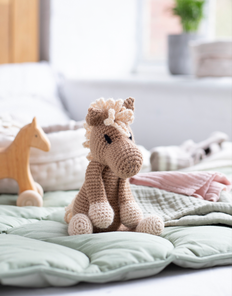 CHARDONNAY(シャルドネ) -パロミノポニー-