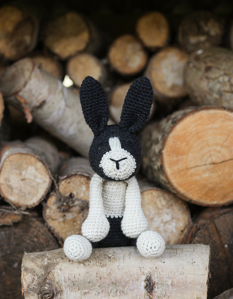 BETH(ベス) -ダッチウサギ-