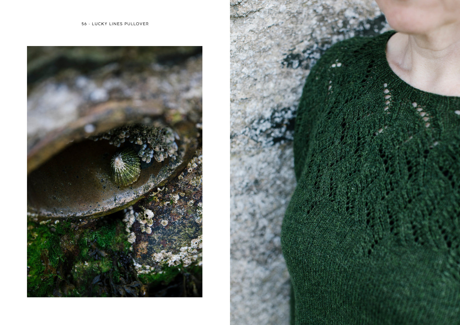 Grand Shetland Adventure Knits