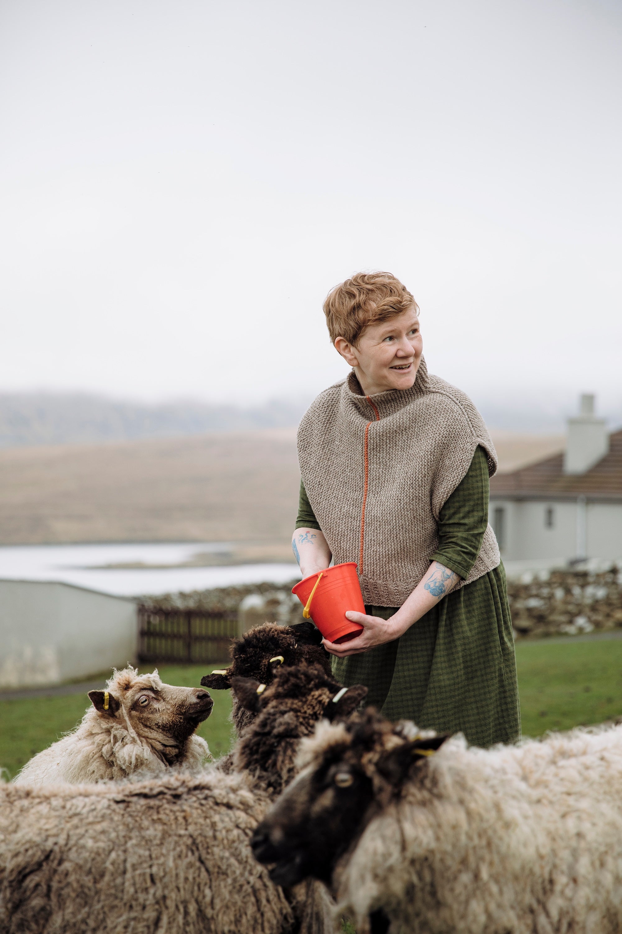 Pre-order! Shetland Shades: Stories in Wool