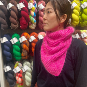 ブーゲンビリア + 水浴びフラミンゴ