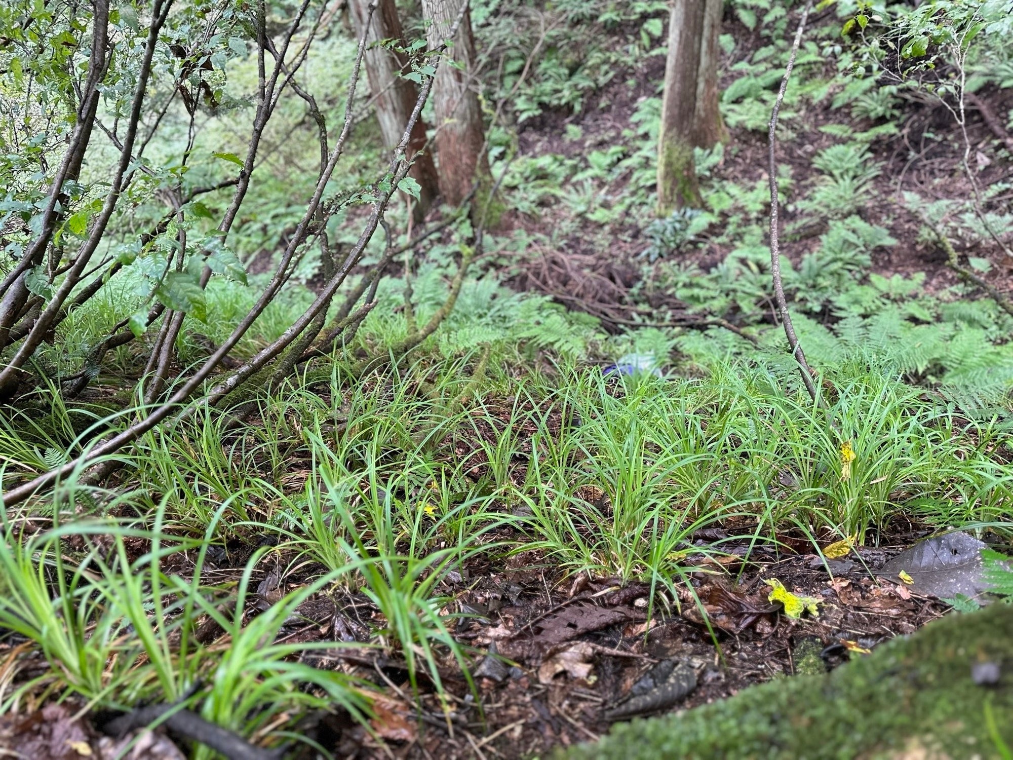 初めての草編みWS＠WALNUT Tokyo