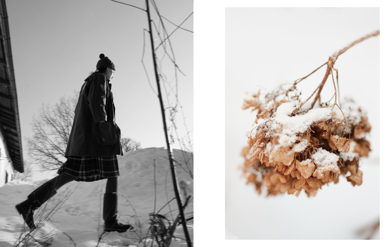 Laine Magazine Vol. 23