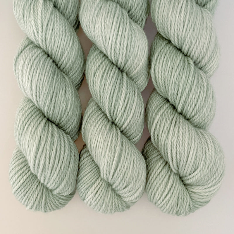 Lichen