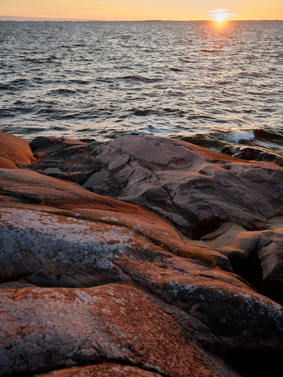 The Art of the Sea