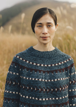 When You Wish upon a Wind Pullover Yarn Set (Nomad Knits)