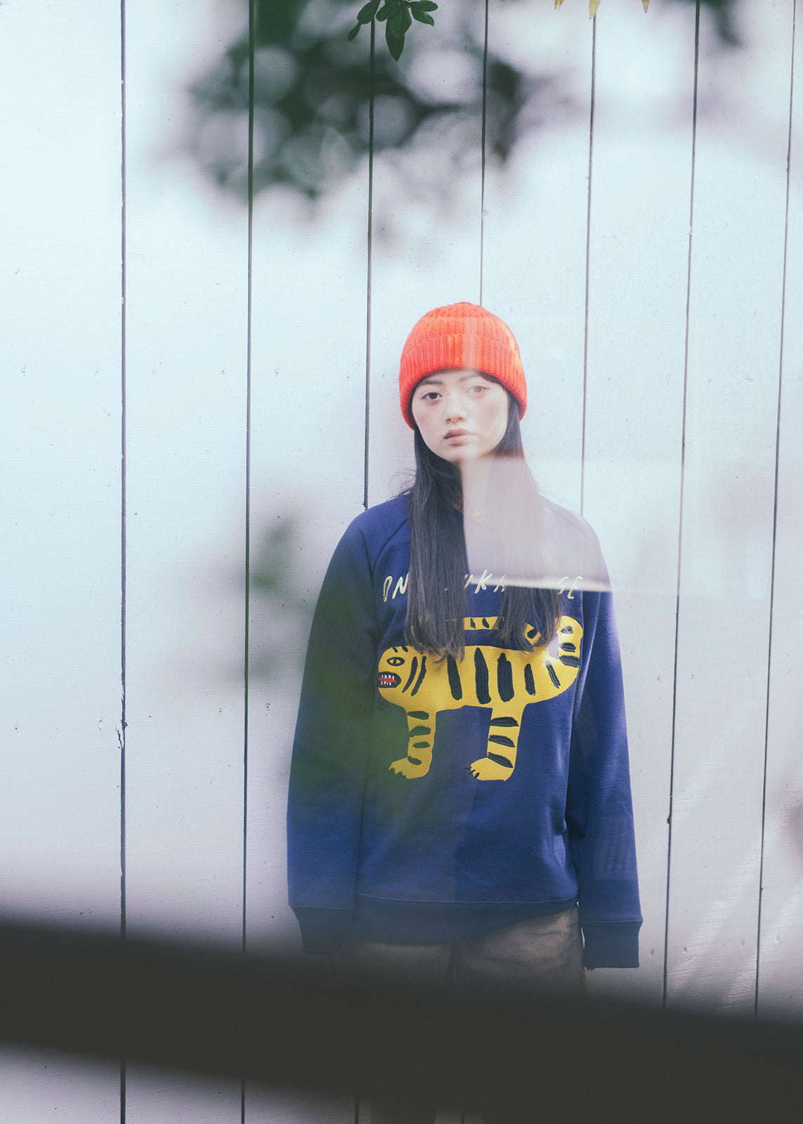 Ricardo ヤーンセット(Lumières 掲載)