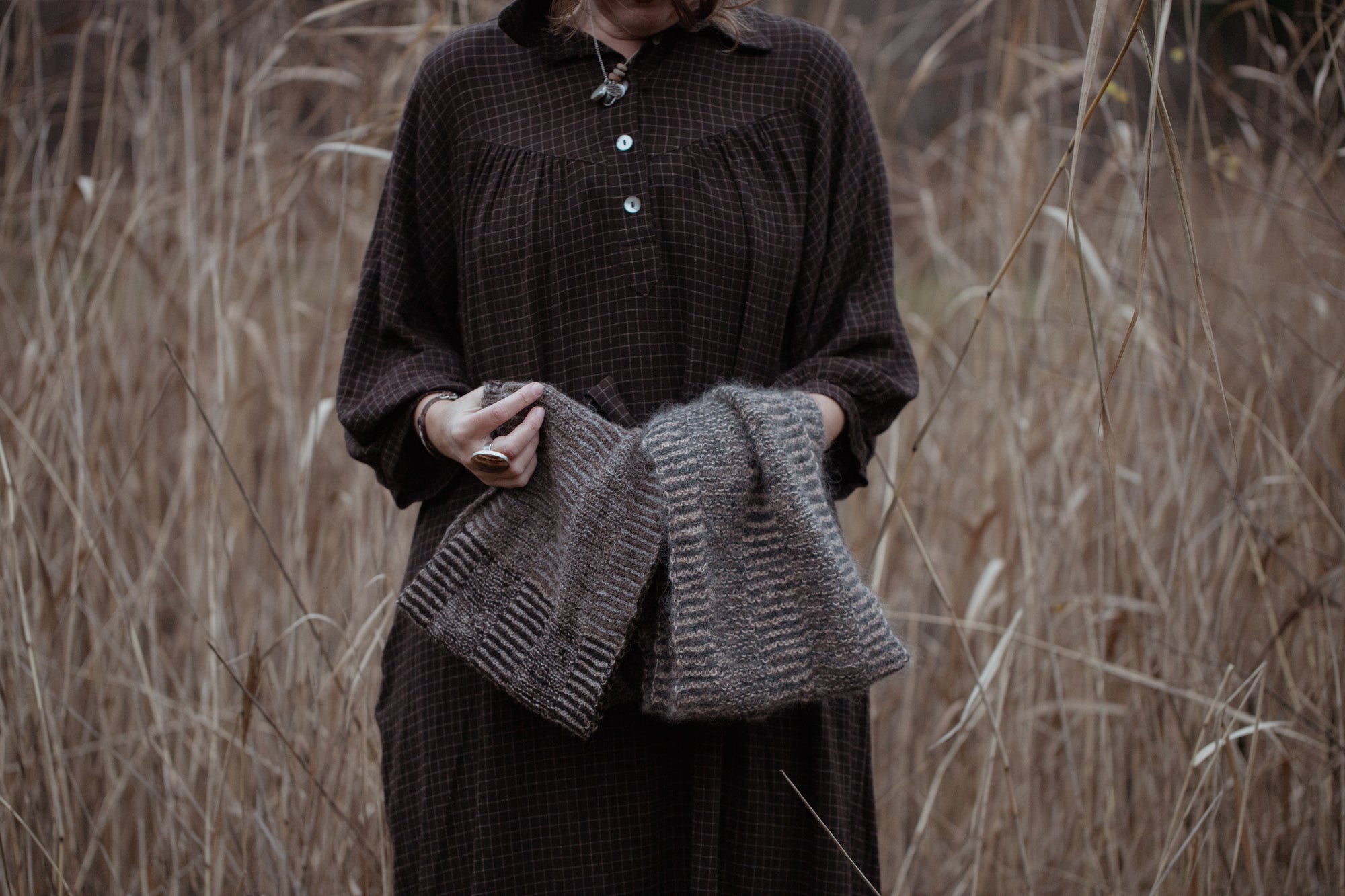 Pre-order now! The Island and the Forest