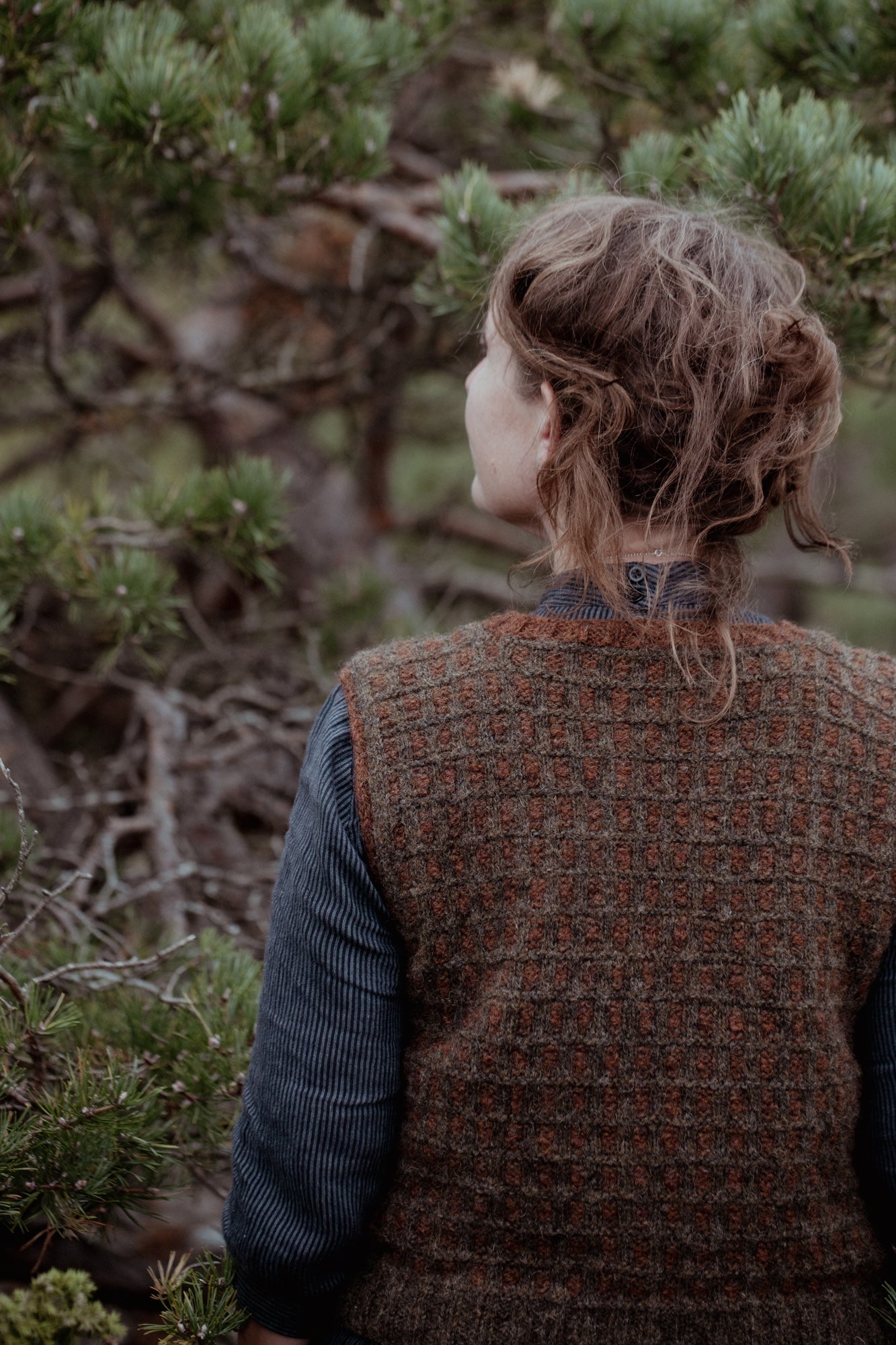 Pre-order now! The Island and the Forest