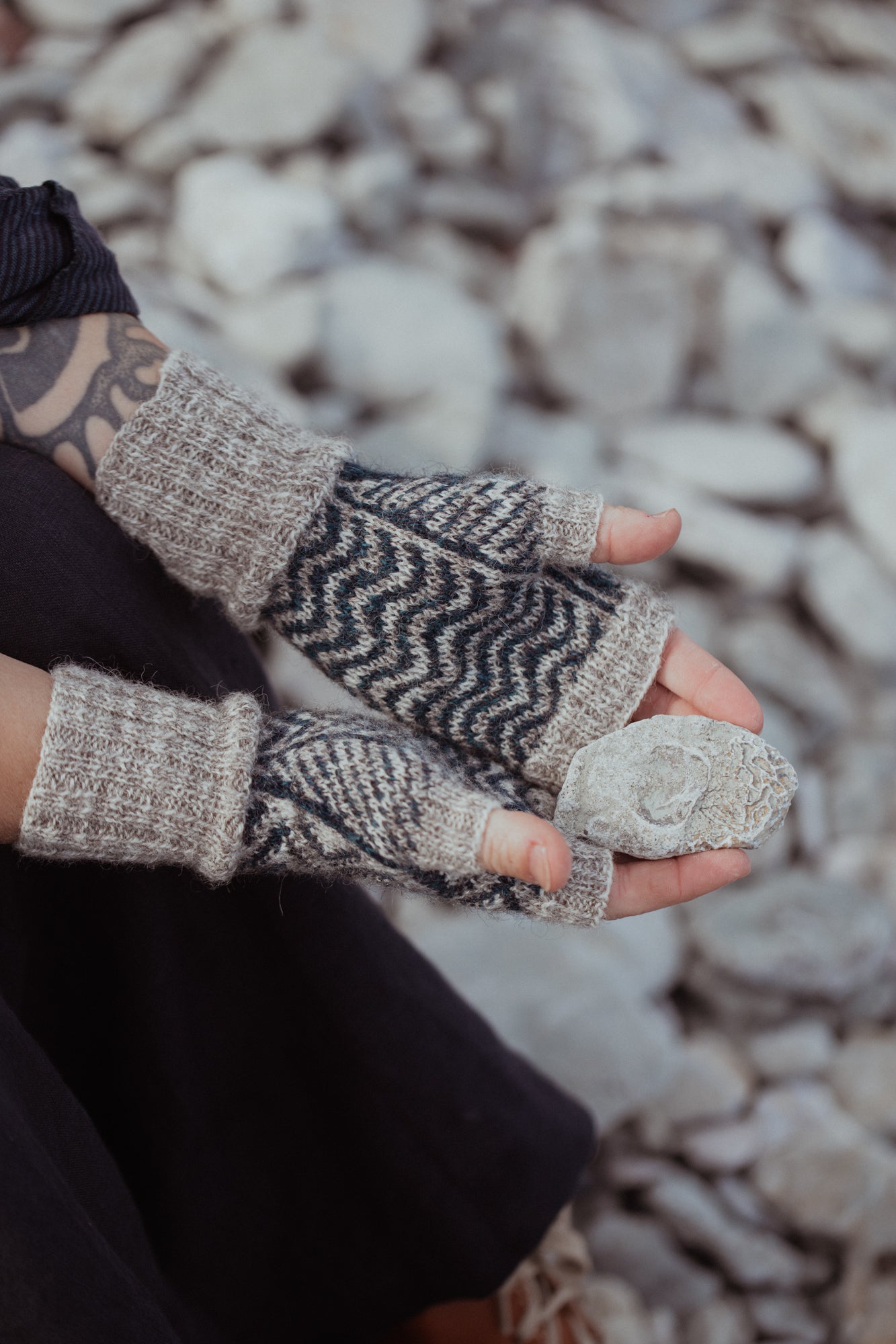 Pre-order now! The Island and the Forest