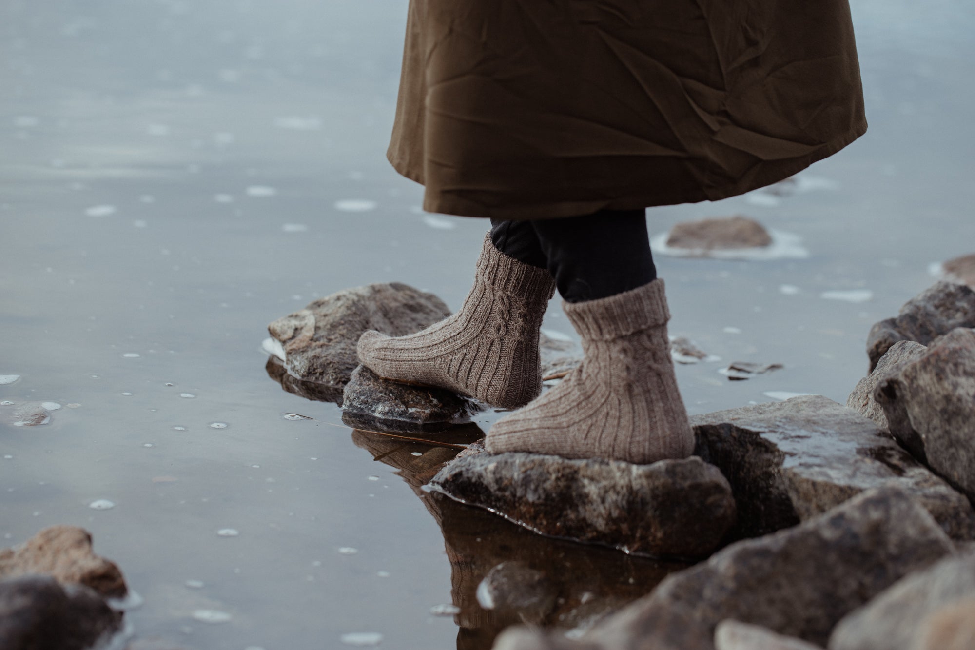 Pre-order now! The Island and the Forest