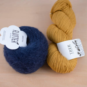 Blueberry Scone + lichen