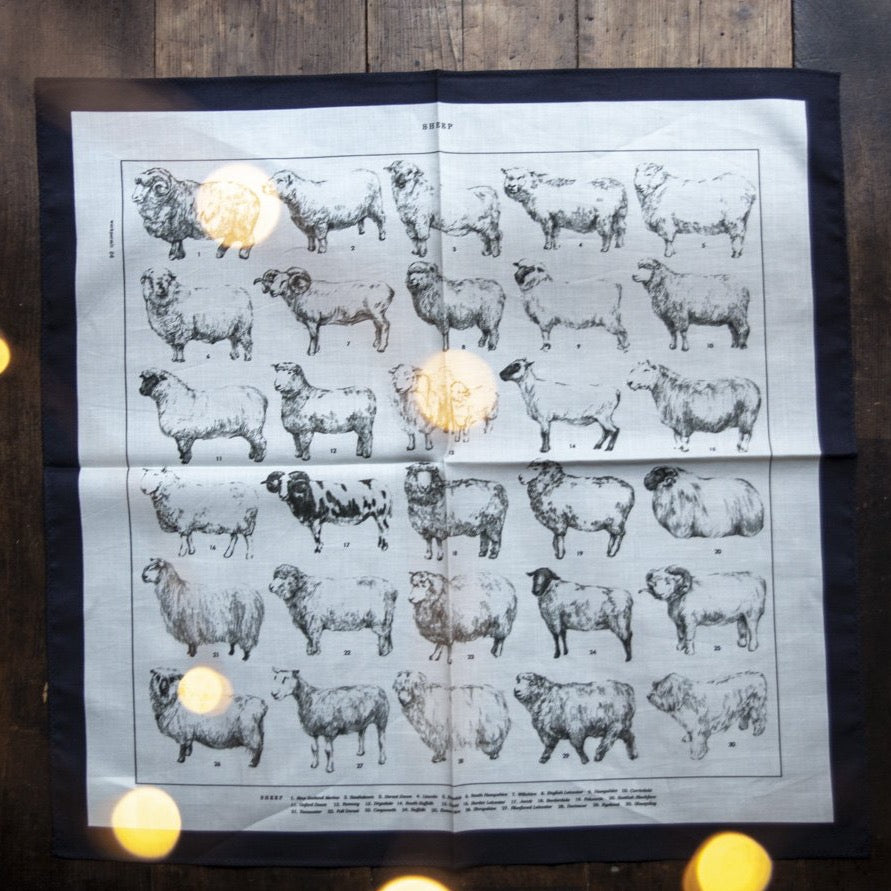 Handkerchief Sheep / ASEEDONCLÖUD