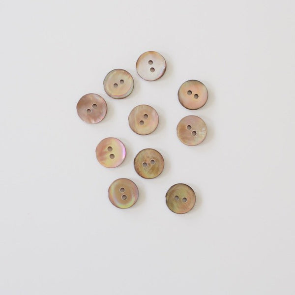 シェルボタン(6個入り) - amirisu online store