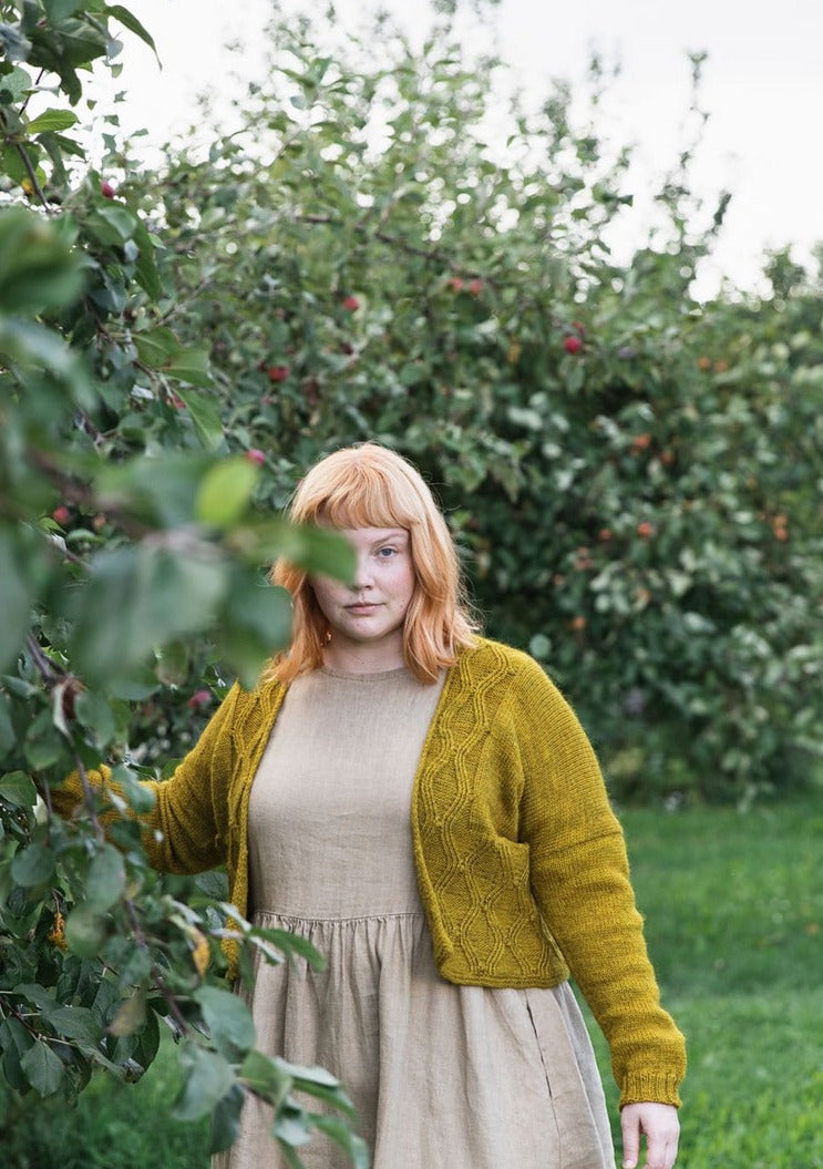 Andrea Kit -Gilliatt- (Worsted - Japan Edition)